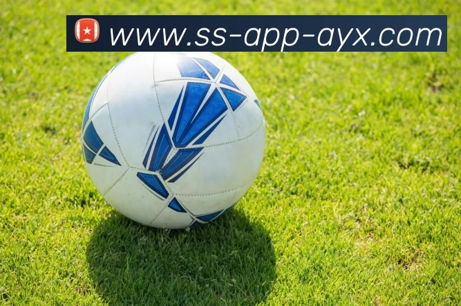 爱游戏AYX平台生态图