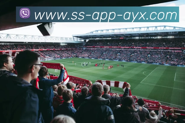 爱游戏AYXAPP 封面图